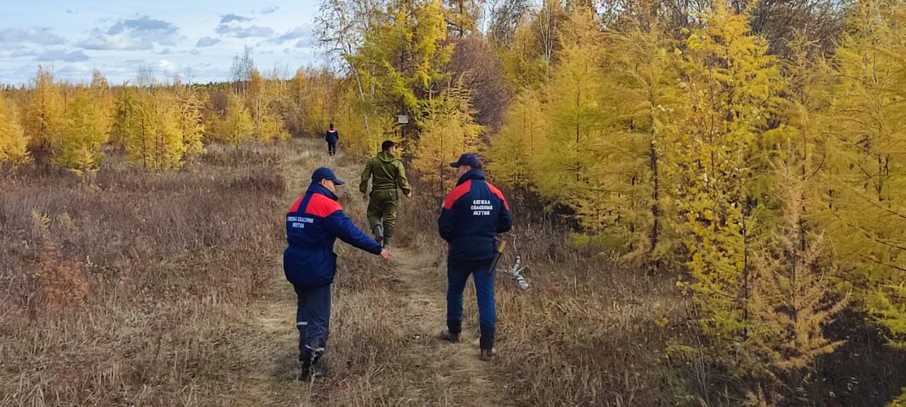 Бригада спасателей в лесу