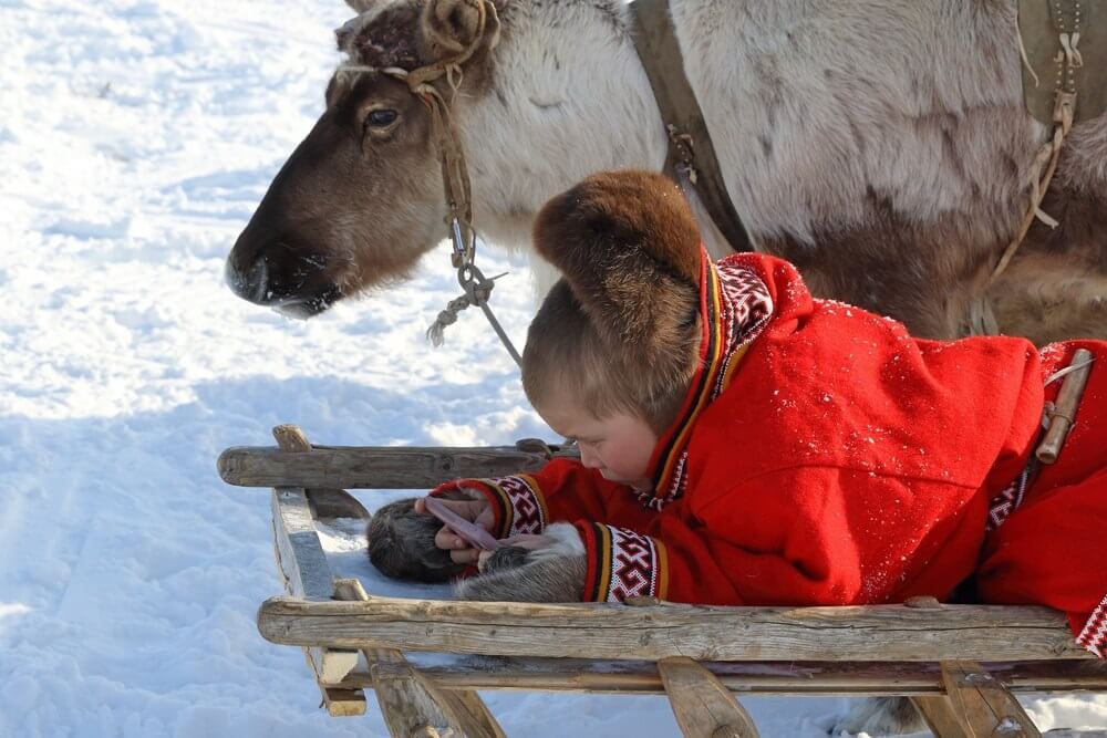 Мальчик и олень