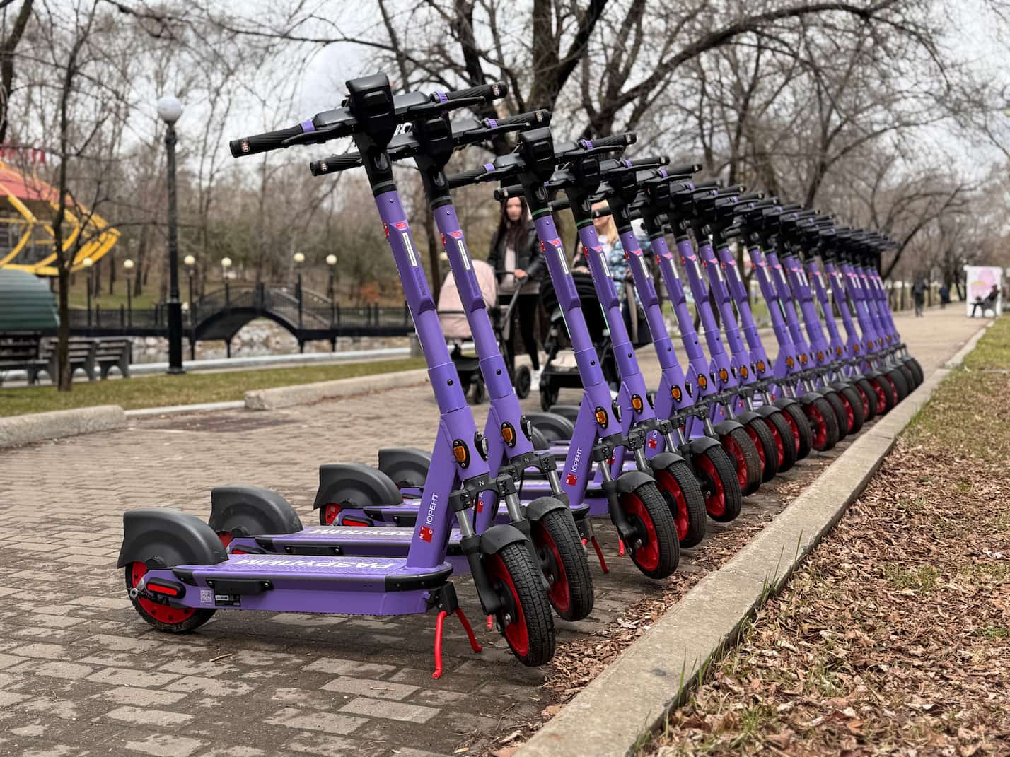 Ряд самокатов 1