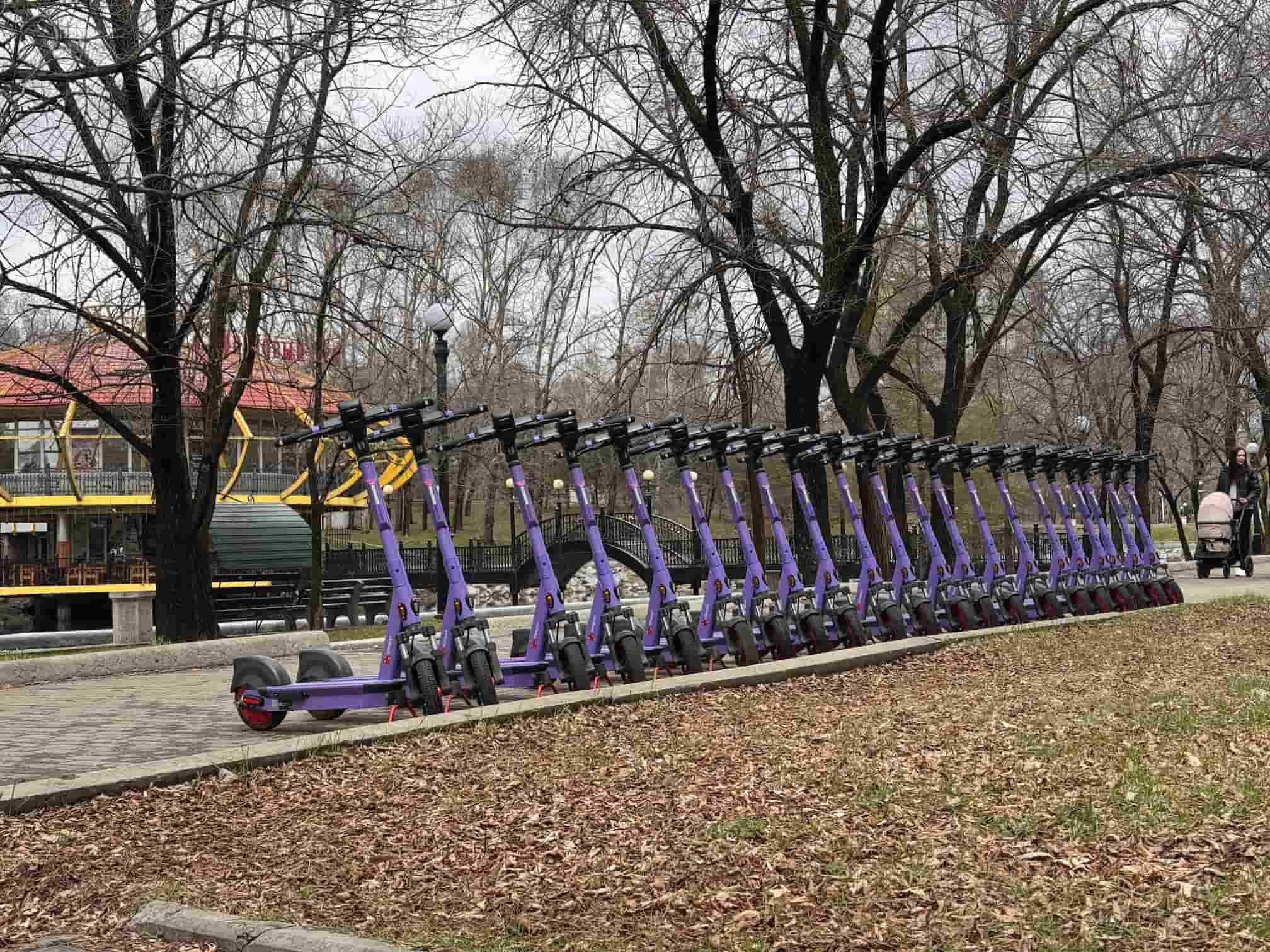 Ряд самокатов 3