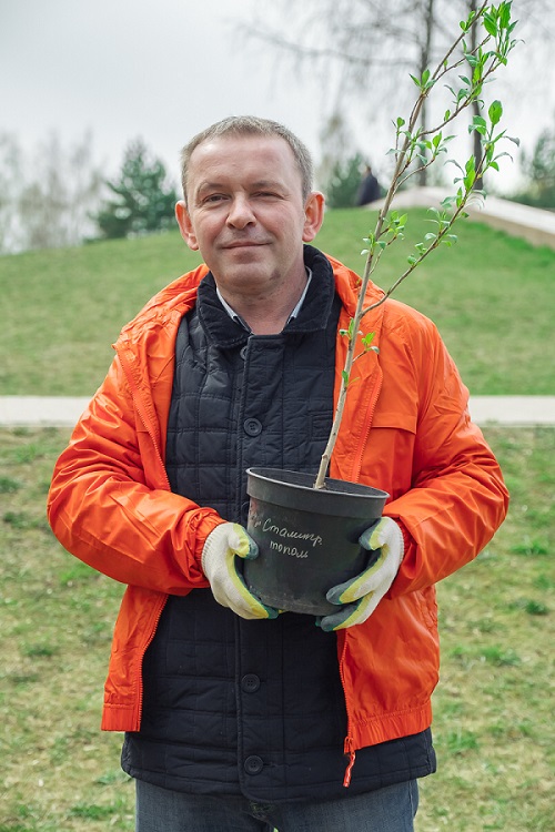 Тополь Победы